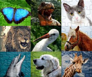Animales