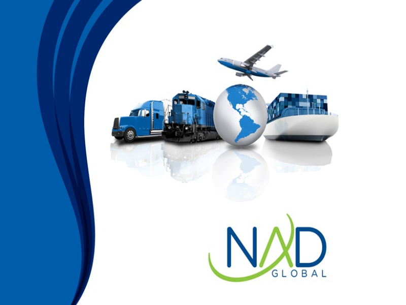 nad global puzzle