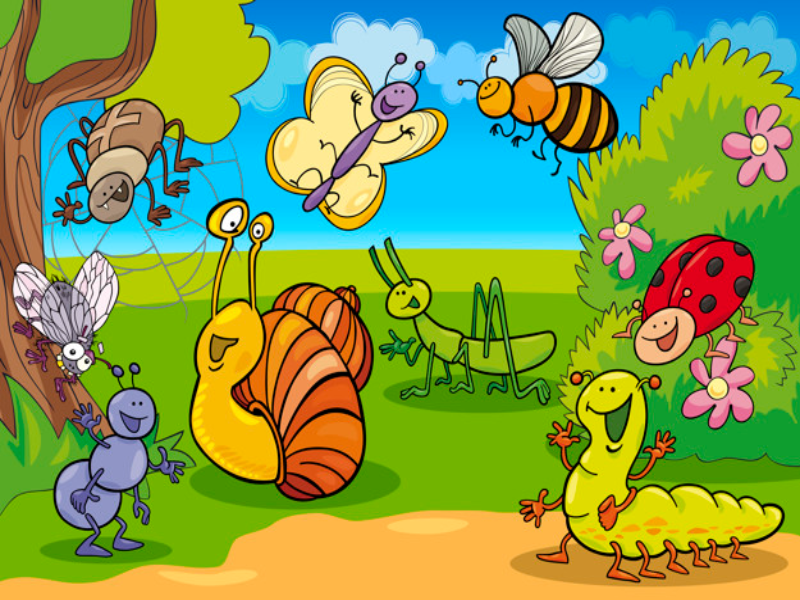 insectos1 puzzle