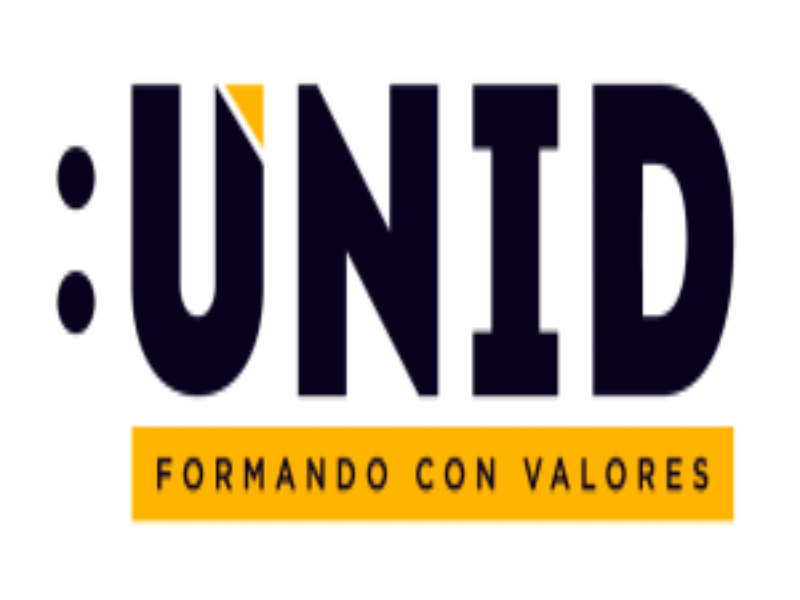 logo unid puzzle