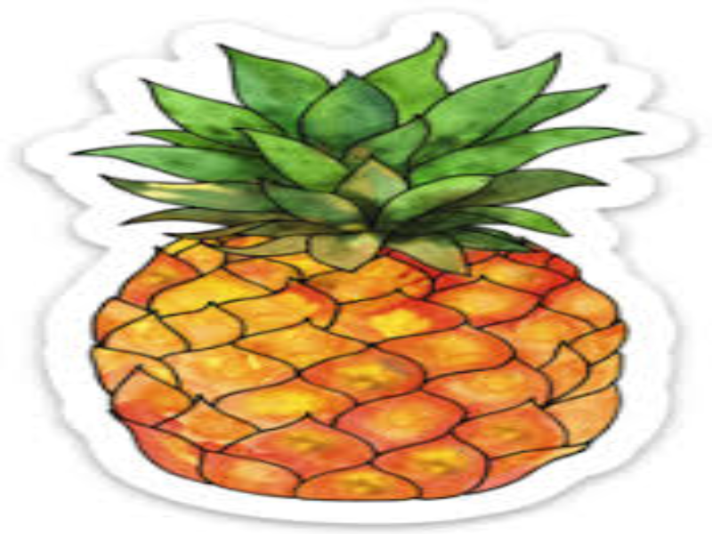 PIÑA BÁSICO 4°  puzzle