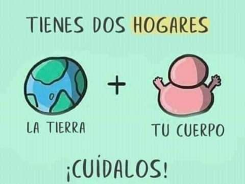 Hola chicos/as vamos a empezar el tema de actividades físicas en el medio natural. puzzle