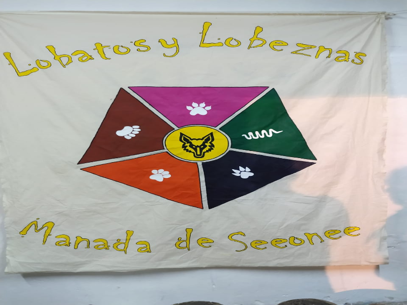 Mi Bandera la mas Linda puzzle
