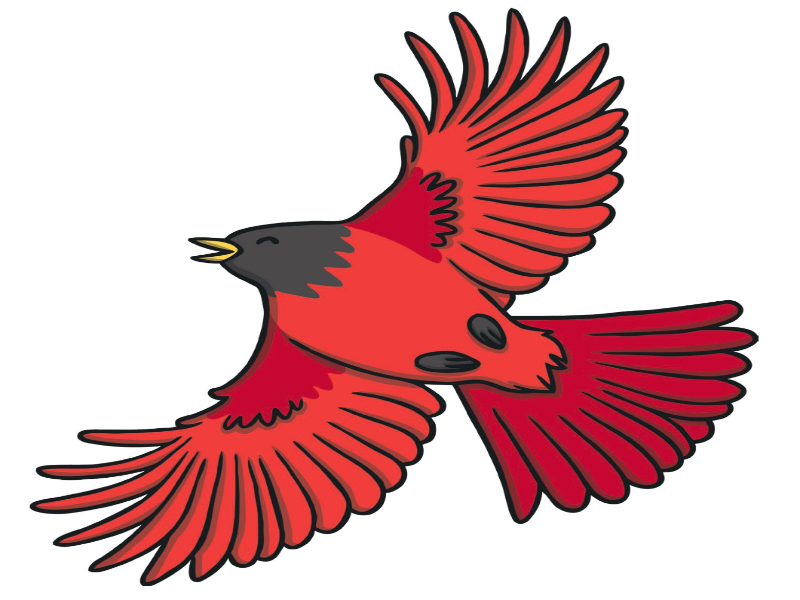 RED BIRD puzzle