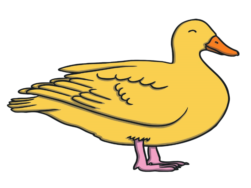 YELLOW DUCK puzzle