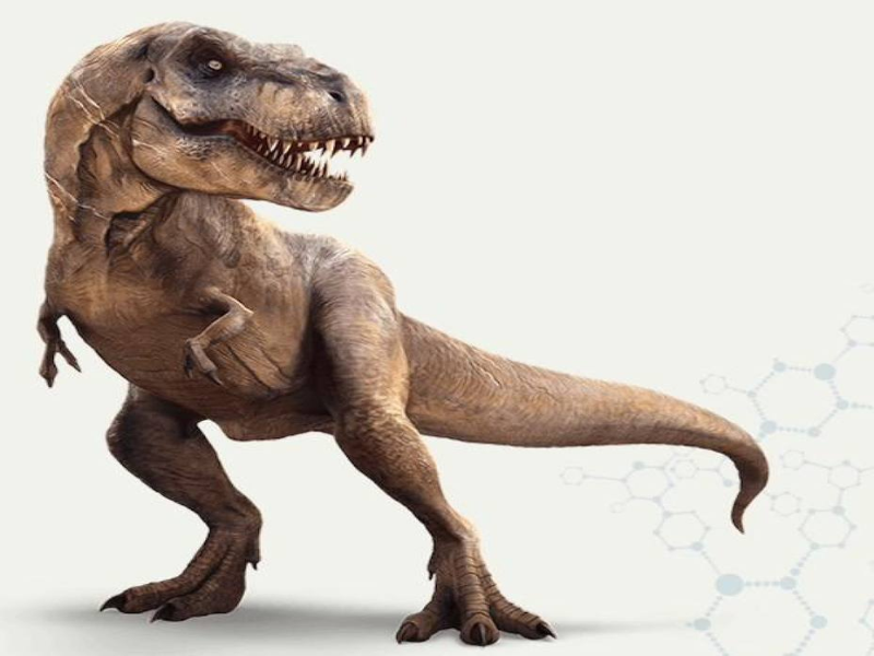 Arma el cuerpo del dinosaurio puzzle