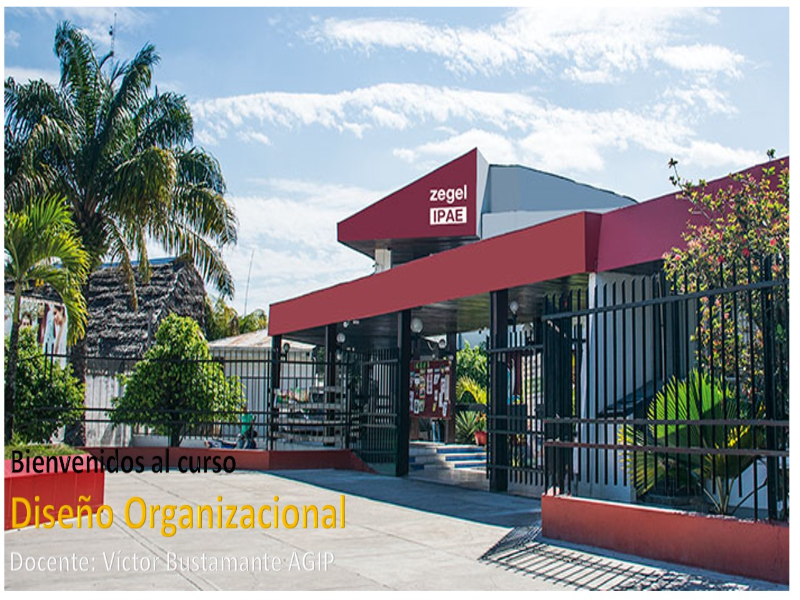 Bienvenidos Diseño Organizacional puzzle