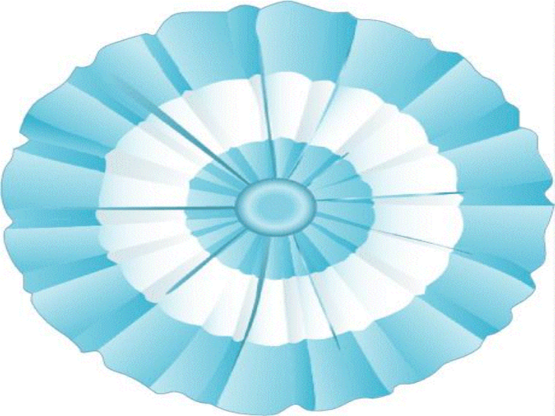 Puzzles. Escarapela Argentina  puzzle