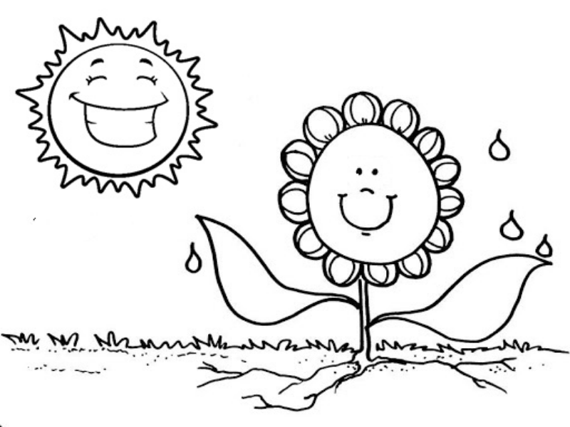 SOL Y PLANTAS puzzle