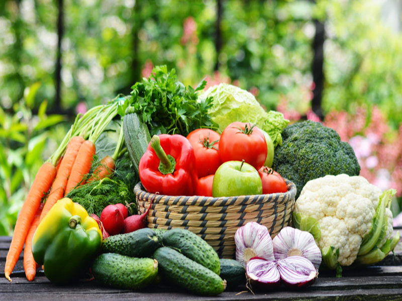 ALIMENTOS Y FRUTAS puzzle