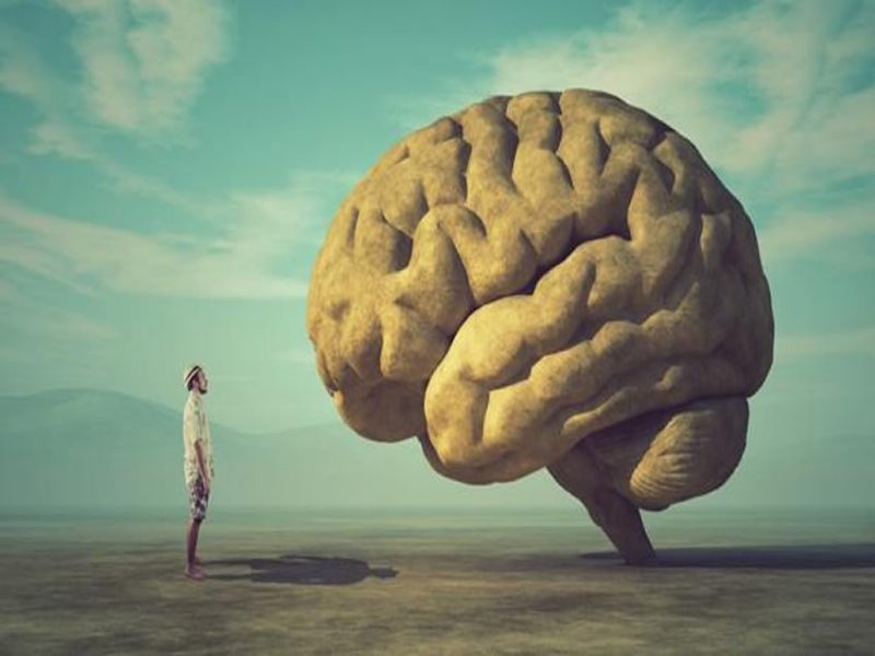 Principios del entendimiento Humano   puzzle