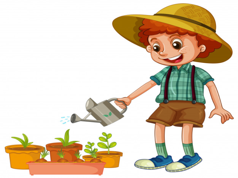 Sanidad Vegetal puzzle