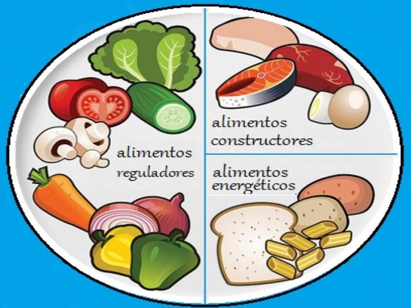 Clasificación de los alimentos puzzle