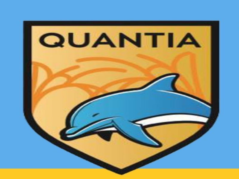 rompecabezas quantia puzzle