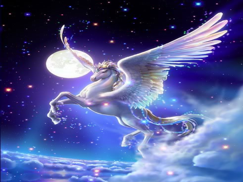 PEGASUS puzzle
