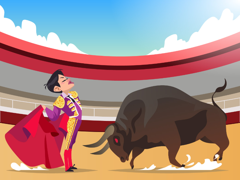 TORERO puzzle