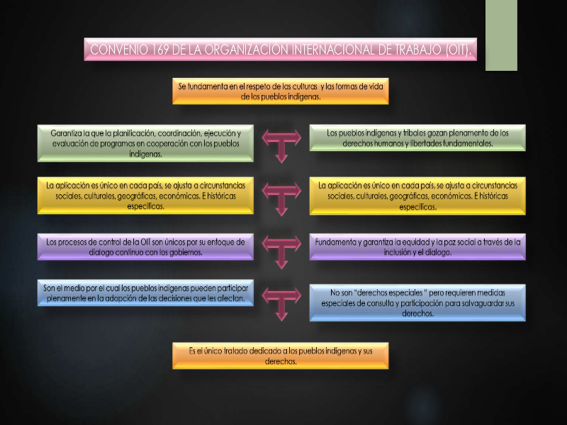 ACUERDO 169 OIT puzzle