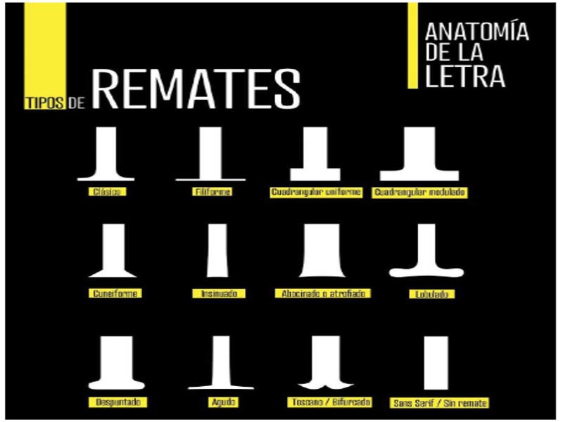 ANATOMÍA DE LA LETRA puzzle