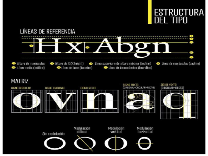 ESTRUCTURA DE TIPO puzzle