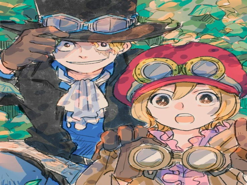 Sabo & Koala Game 8 puzzle