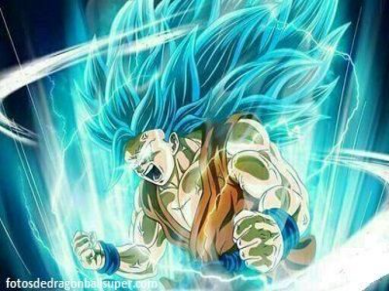 Son Goku puzzle