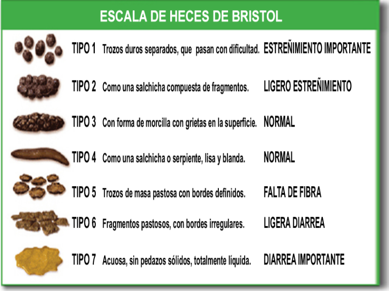 puzle de la escala de bristol puzzle