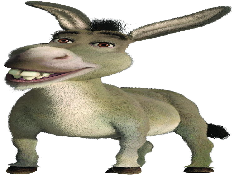 Rompe Cabezas burro puzzle