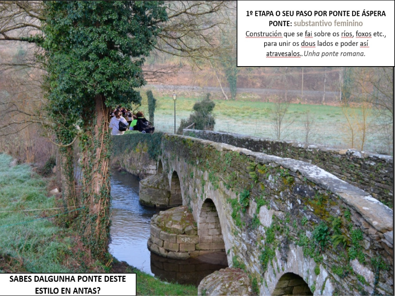 1ª ETAPA CAMIÑO DE SANTIAGO puzzle