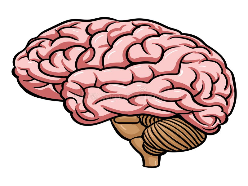 neuromarketing puzzle