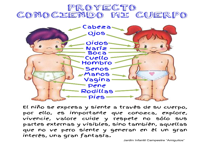 UN CUERPO PARA TODOS puzzle
