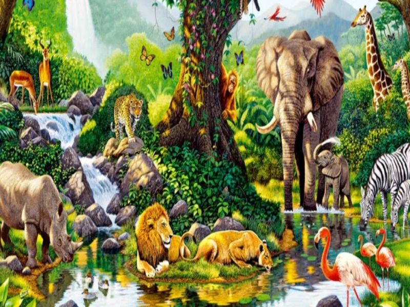 Conservación de la biodiversidad  puzzle