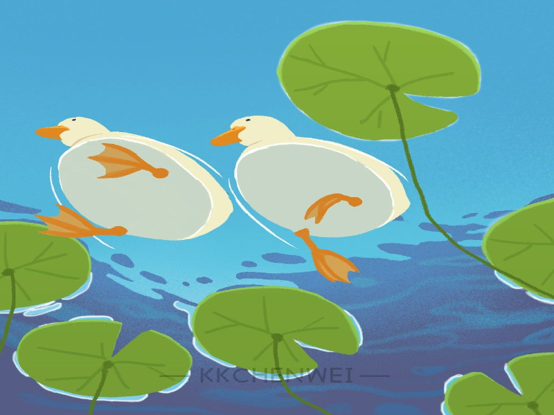 patos laguna verde celeste puzzle