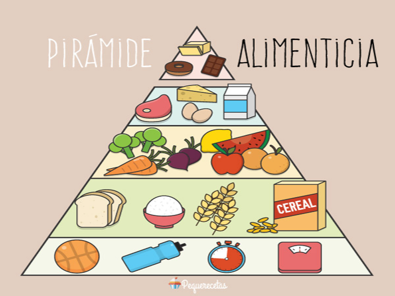 Arma la piramide alimenticia puzzle