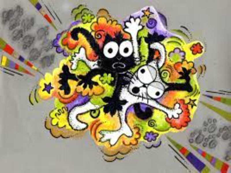 gato negro gato blanco puzzle