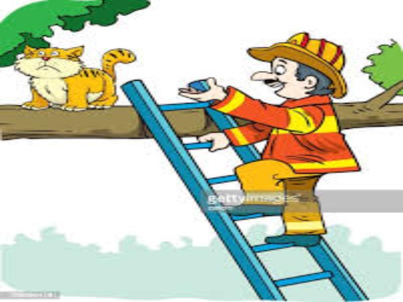 ¿QUÉ ESTARÁ HACIENDO EL BOMBERO? puzzle