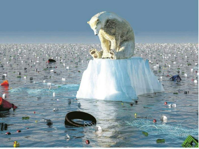 PROBLEMA AMBIENTAL puzzle