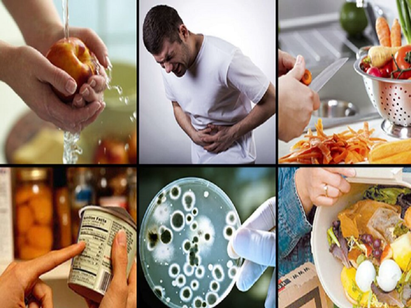 etas son enfermedades transmitidas por alimentos MMMMM puzzle