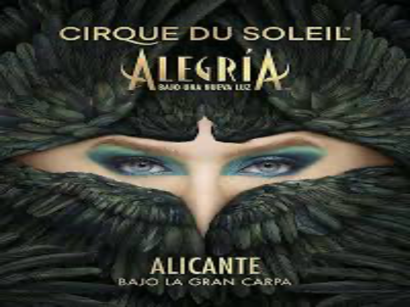 Circo del sol puzzle