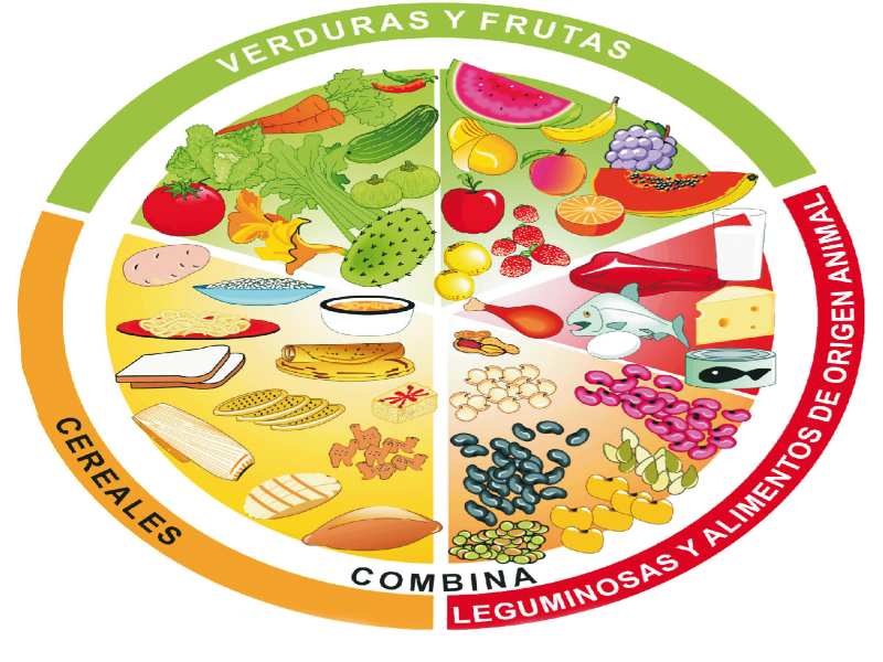 Crea el plato del buen comer puzzle