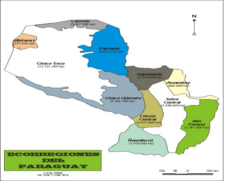 Biomas y ecosistemas del Paraguay puzzle